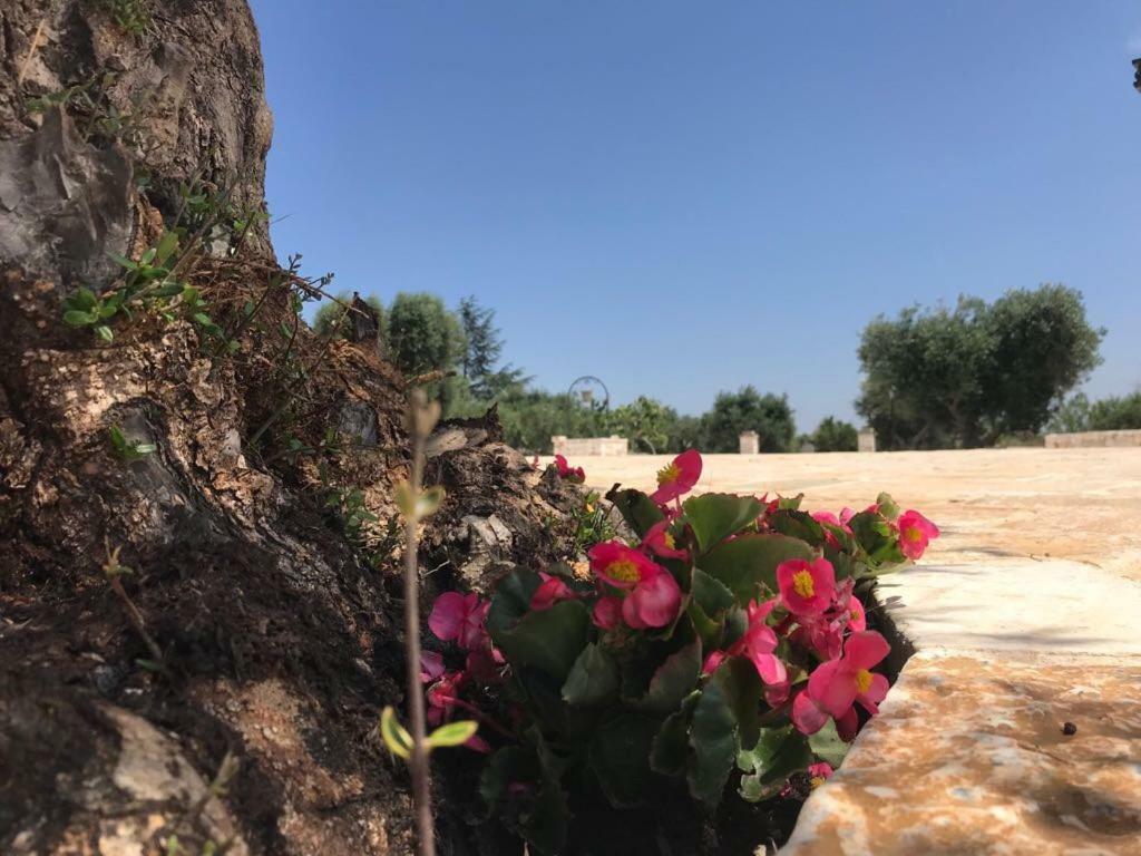 Trulli Da Lalli Ostuni Kültér fotó